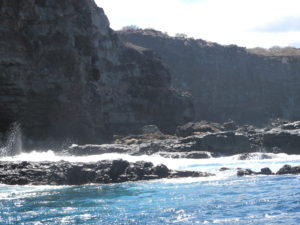 IMG_1163